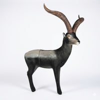 Spanischer Steinbock