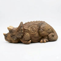 Triceratops baby
