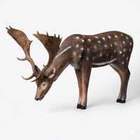 Damhirsch fressend