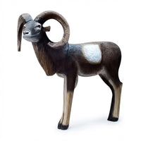 Mufflonschaf