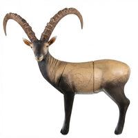 Alpiner Steinbock