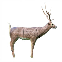 Sika Hirsch