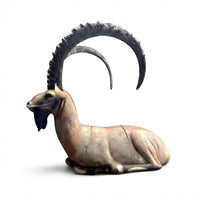 Sibierischer Steinbock
