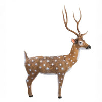 Axis Hirsch