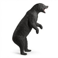 Schwarzbär