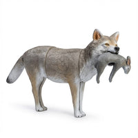 Coyote mit Kaninchen