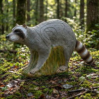 Waschbär