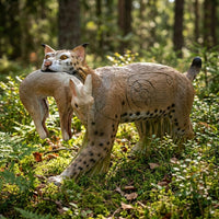 Rotluchs mit Kaninchen