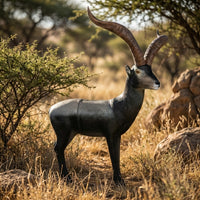 Spanischer Steinbock