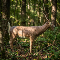 Sika Hirsch