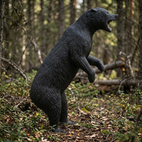 Schwarzbär