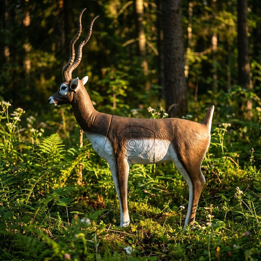 Hirschziegenantilope